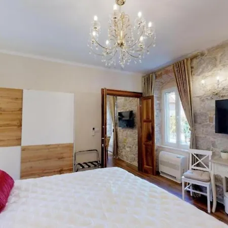 Chrysanta * ספליט